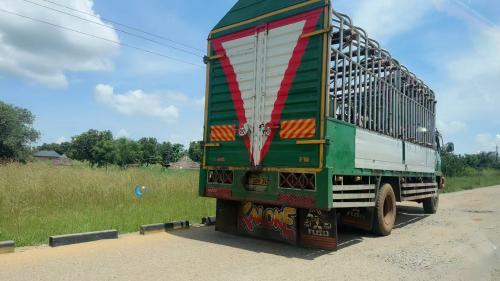 非洲乌干达风景