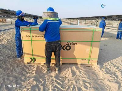 伊拉克光伏项目