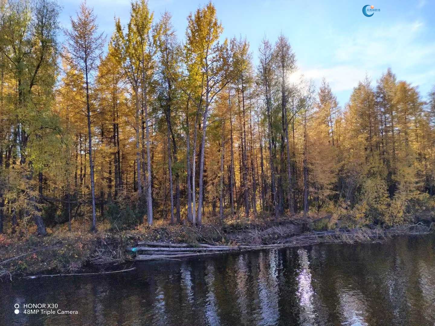 1763111563168321.jpg 27097fdc8d1f3566083f9ba9eda51eb3.jpg