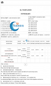中冶刚果金项目机票已出工人做好出境准备